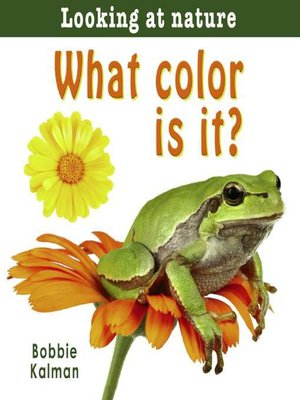 cover image of What Color Is It?
